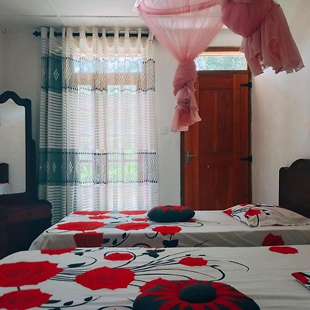 אלה Pleasure Mount Homestay מראה חיצוני תמונה